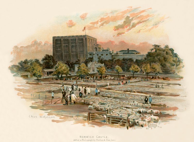 Norwich kalesi by Charles Wilkinson