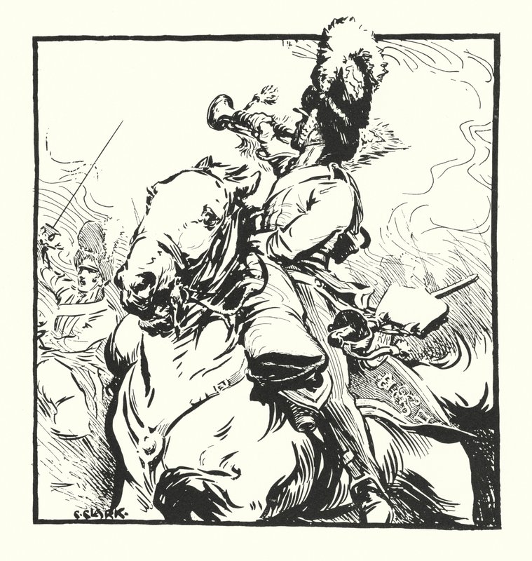 Scots Greys