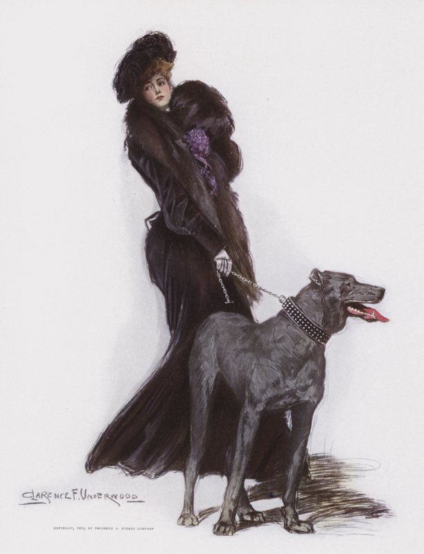 Köpeğini yürüyen kadın by Clarence F. Underwood