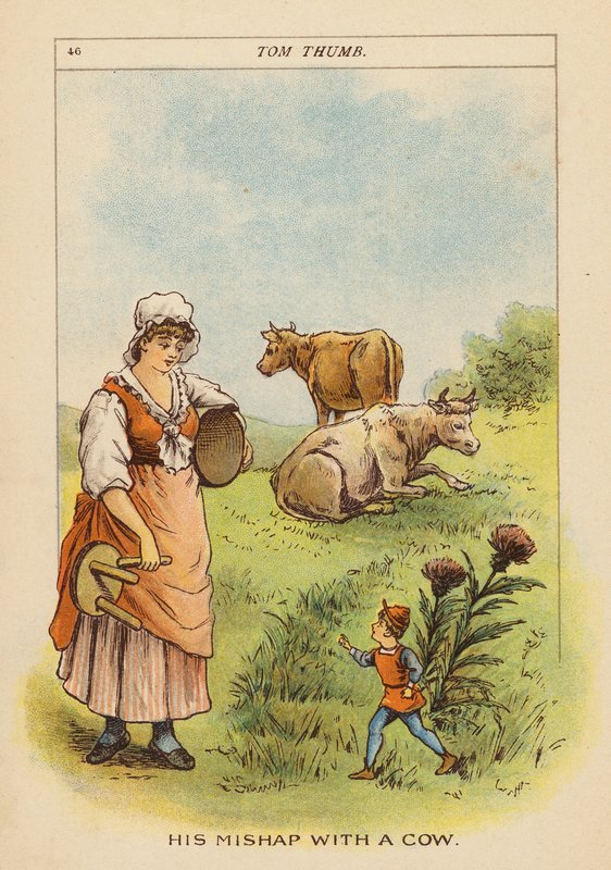  by Constance Haslewood