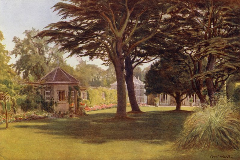 "Bir Sedir koyu yeşil gölge katmanlarını yayar," Osborne Cottage (renkli lito) by Cyril Ward