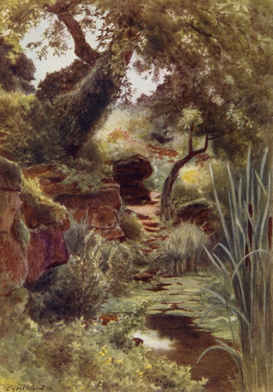 Upper Lake, Sandringham