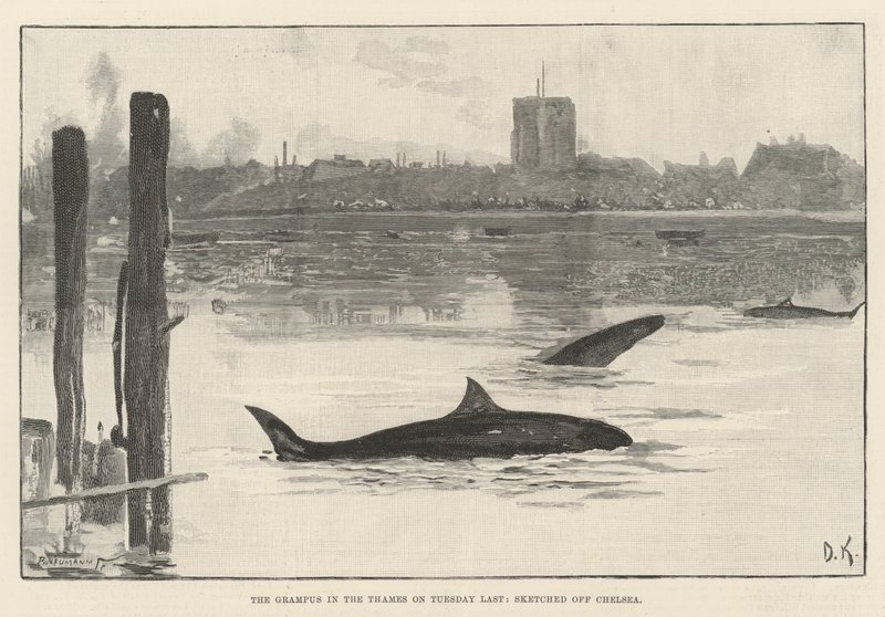 Geçen Salı Thames