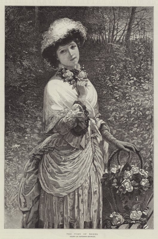 Gül Zamanı by Davidson Knowles