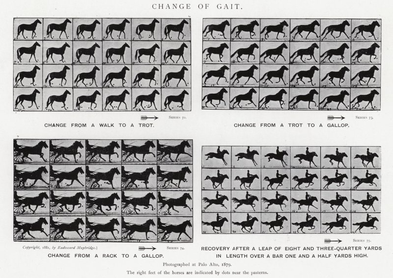 Eadweard Muybridge: Yürüyüşün Değişimi (s/b fotoğraf) by Eadweard Muybridge