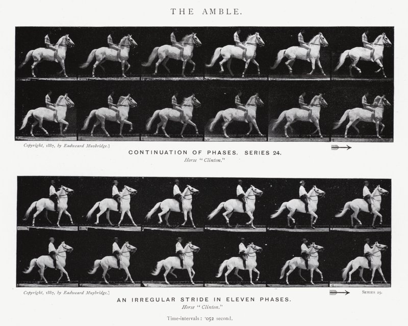 Eadweard Muybridge: Amble (s/b fotoğraf) by Eadweard Muybridge