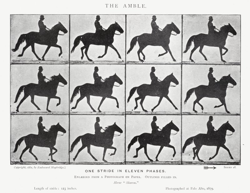 Eadweard Muybridge: Amble (s/b fotoğraf) by Eadweard Muybridge