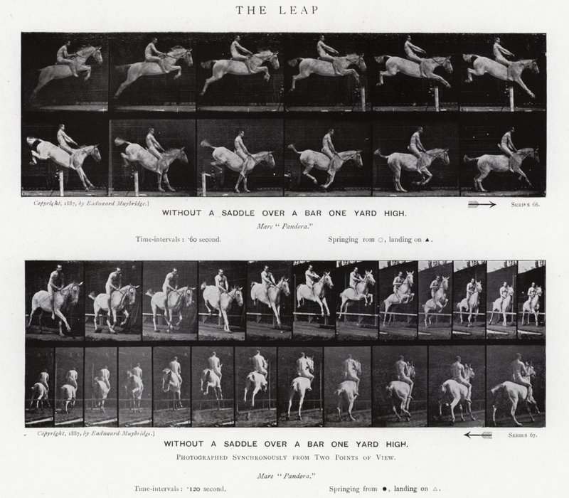 Eadweard Muybridge: Sıçrayış (s/b fotoğraf) by Eadweard Muybridge