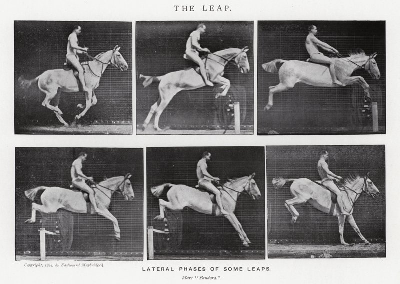 Eadweard Muybridge: Sıçrayış (s/b fotoğraf) by Eadweard Muybridge