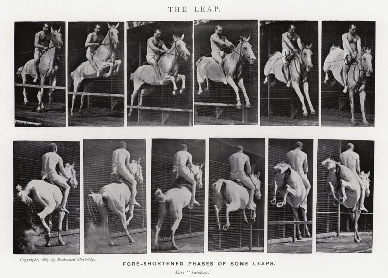 Eadweard Muybridge: Sıçrayış (s/b fotoğraf) by Eadweard Muybridge