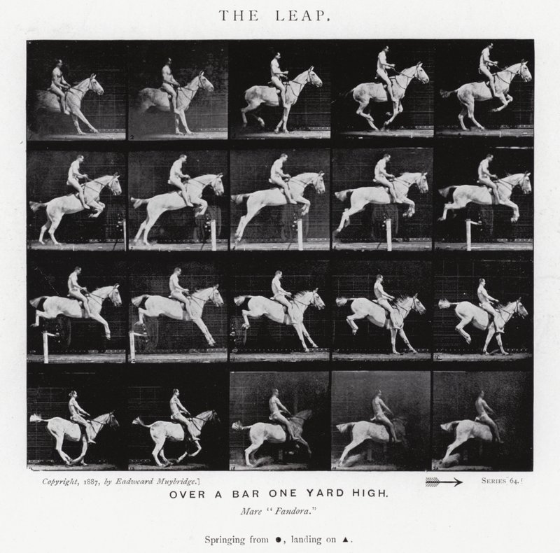 Eadweard Muybridge: Sıçrayış (s/b fotoğraf) by Eadweard Muybridge