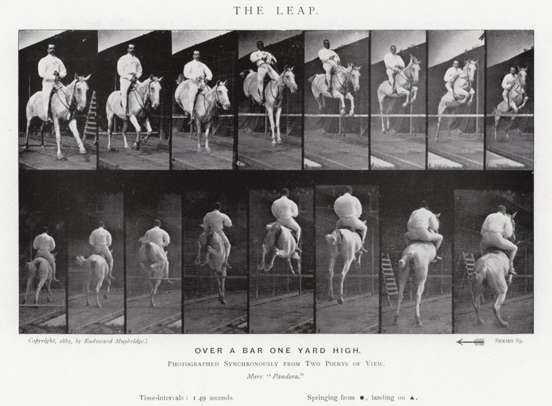 Eadweard Muybridge: Sıçrayış (s/b fotoğraf) by Eadweard Muybridge