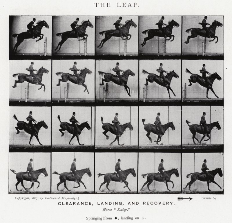 Eadweard Muybridge: Sıçrayış (s/b fotoğraf) by Eadweard Muybridge