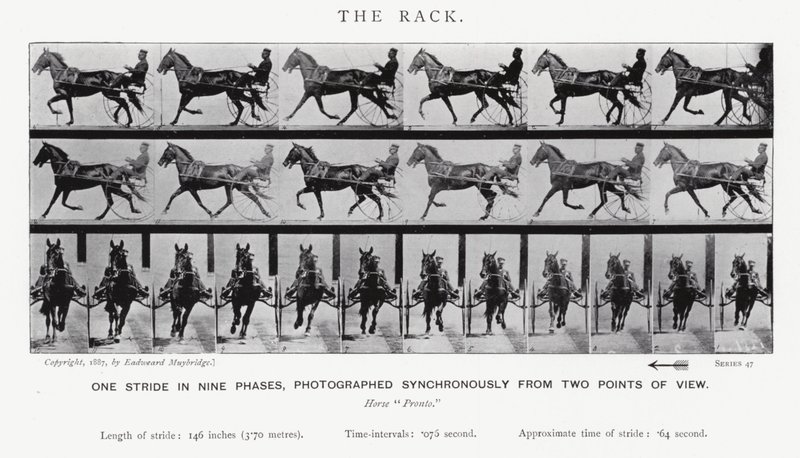 Eadweard Muybridge: The Rack (s/b fotoğraf) by Eadweard Muybridge