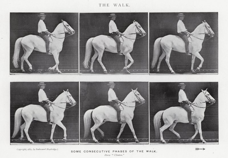 Eadweard Muybridge: Yürüyüş (s/b fotoğraf) by Eadweard Muybridge