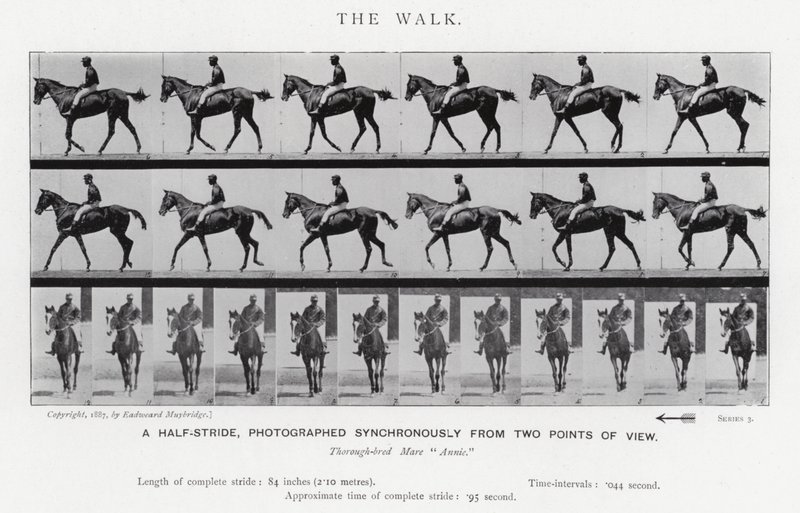 Eadweard Muybridge: Yürüyüş (s/b fotoğraf) by Eadweard Muybridge