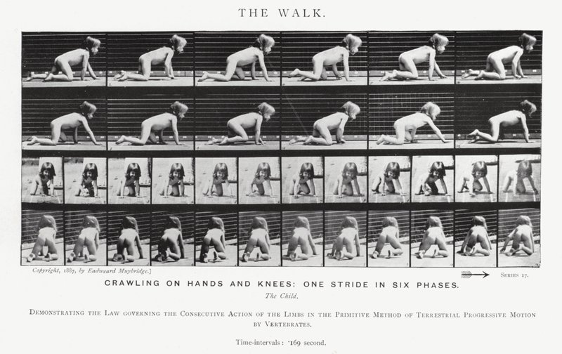 Eadweard Muybridge: Yürüyüş (s/b fotoğraf) by Eadweard Muybridge