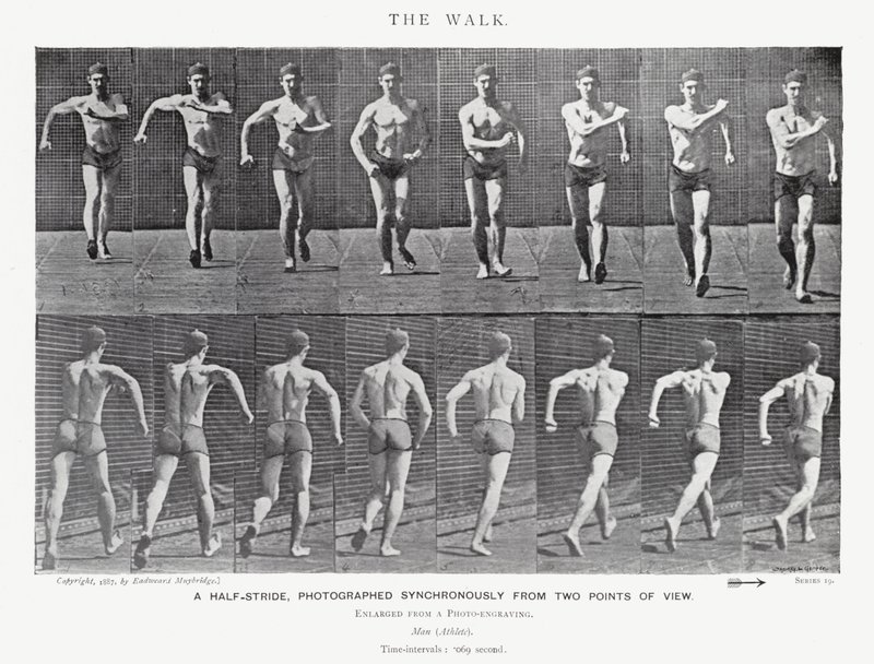 Eadweard Muybridge: Yürüyüş (s/b fotoğraf) by Eadweard Muybridge