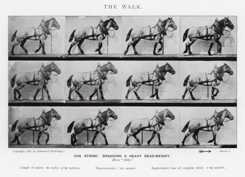 Eadweard Muybridge: Yürüyüş by Eadweard Muybridge