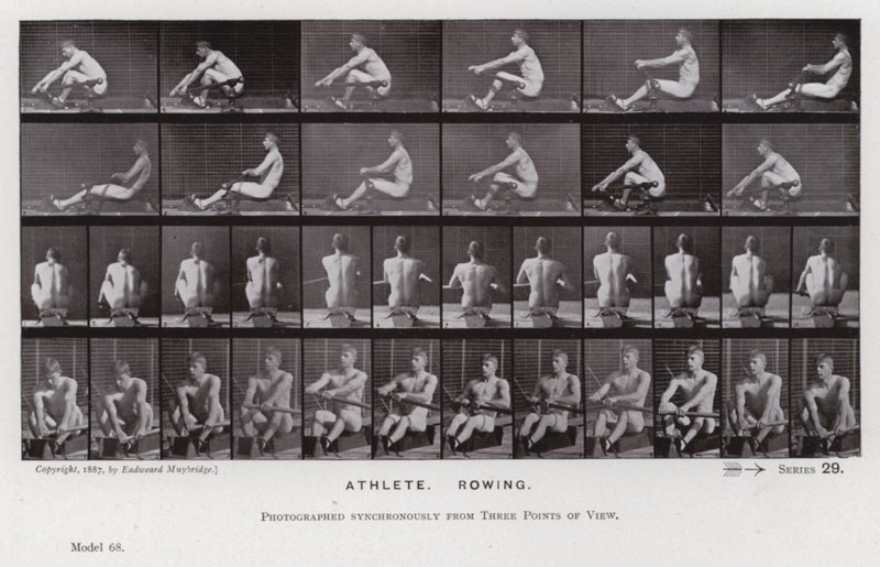 Hareket Halindeki İnsan Figürü: Sporcu, Kürek Çekme (s/b fotoğraf) by Eadweard Muybridge