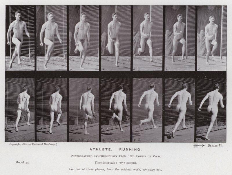 Hareket Halindeki İnsan Figürü: Atlet, Koşma (s/b fotoğraf) by Eadweard Muybridge