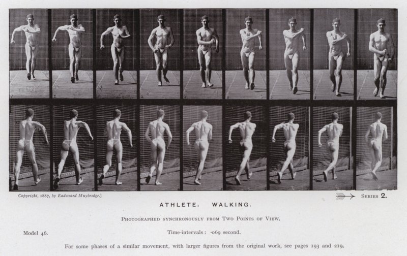 Hareket Halindeki İnsan Figürü: Sporcu, Yürüyüş (s/b fotoğraf) by Eadweard Muybridge