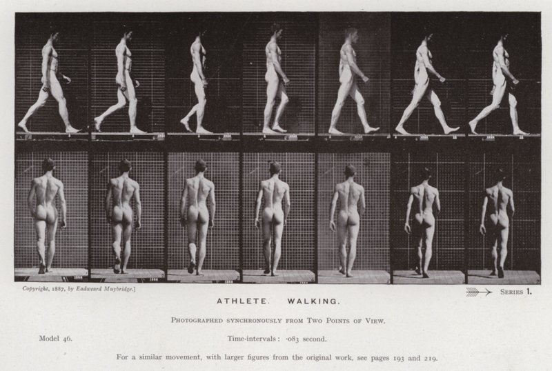 Hareket Halindeki İnsan Figürü: Sporcu, Yürüyüş (s/b fotoğraf) by Eadweard Muybridge