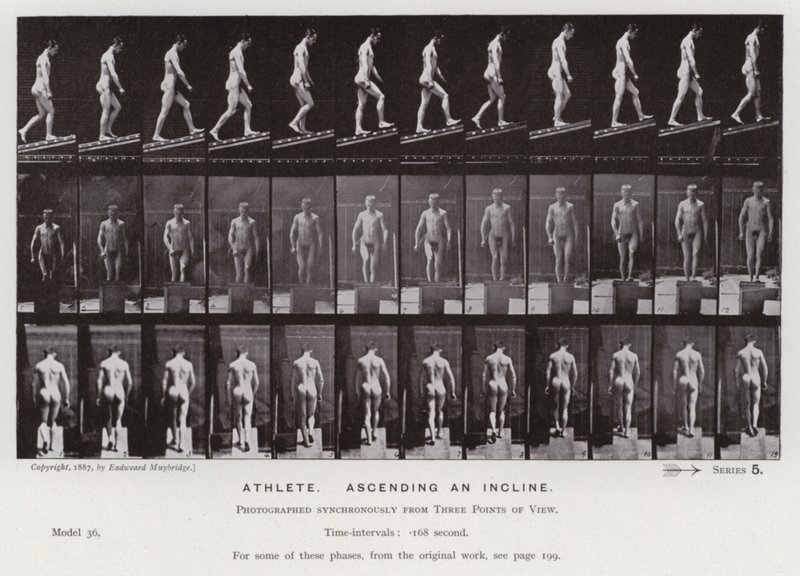 Hareket Halindeki İnsan Figürü: Atlet, yokuş yukarı çıkıyor (s/b fotoğraf) by Eadweard Muybridge