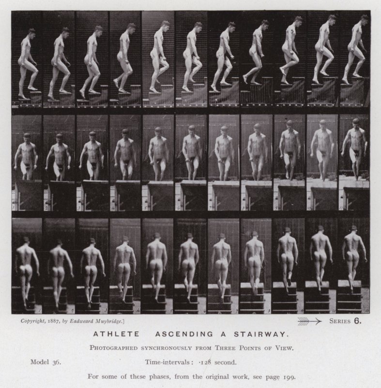Hareket Halindeki İnsan Figürü: Merdivenden çıkan atlet (s/b fotoğraf) by Eadweard Muybridge