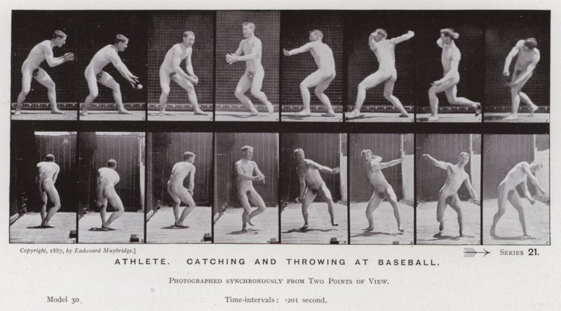 Hareket Halindeki İnsan Figürü: Atlet, beyzbolda yakalama ve atma (s/b fotoğraf) by Eadweard Muybridge