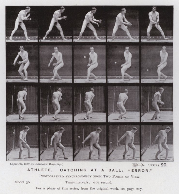 Hareket Halindeki İnsan Figürü: Atlet, topu yakalama, "hata" (s/b fotoğraf) by Eadweard Muybridge