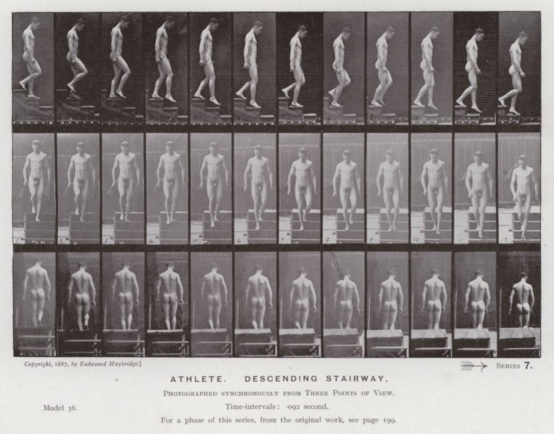 Hareket Halindeki İnsan Figürü: Merdivenden inen sporcu (s/b fotoğraf) by Eadweard Muybridge