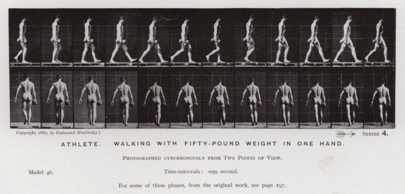 Hareket Halindeki İnsan Figürü: Bir elinde elli kiloluk ağırlıkla yürüyen atlet (s/b fotoğraf) by Eadweard Muybridge