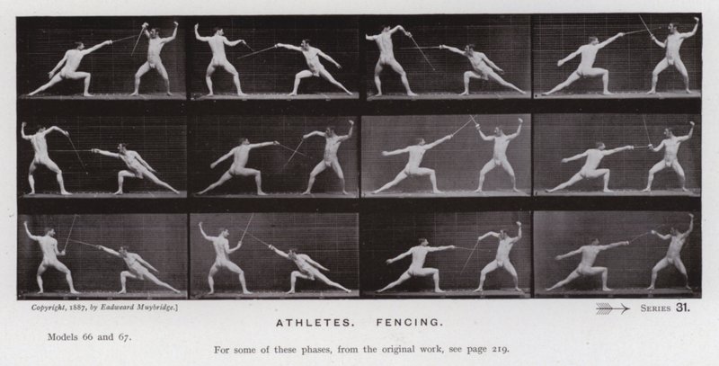 Hareket Halindeki İnsan Figürü: Sporcular, Eskrim (s/b fotoğraf) by Eadweard Muybridge