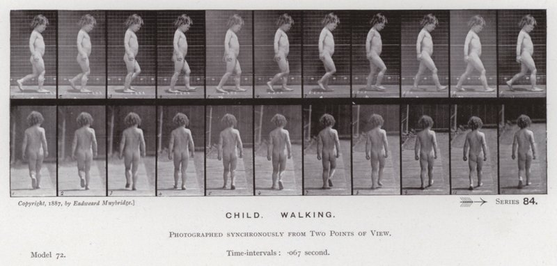 Hareket Halindeki İnsan Figürü: Çocuk, Yürüyüş (s/b fotoğraf) by Eadweard Muybridge