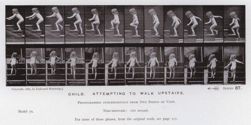 Hareket Halindeki İnsan Figürü: Üst kata çıkmaya çalışan çocuk (s/b fotoğraf) by Eadweard Muybridge