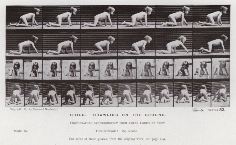 Hareket Halindeki İnsan Figürü: Yerde emekleyen çocuk by Eadweard Muybridge