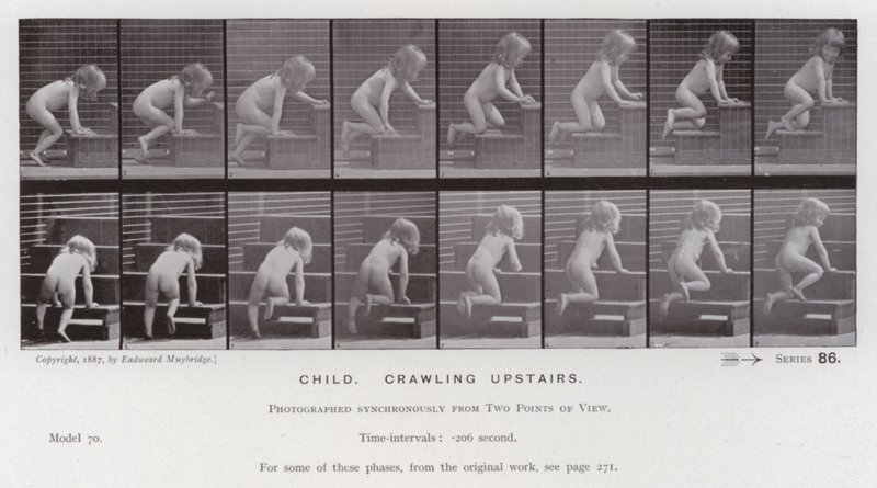 Hareket Halindeki İnsan Figürü: Üst katta emekleyen çocuk (s/b fotoğraf) by Eadweard Muybridge