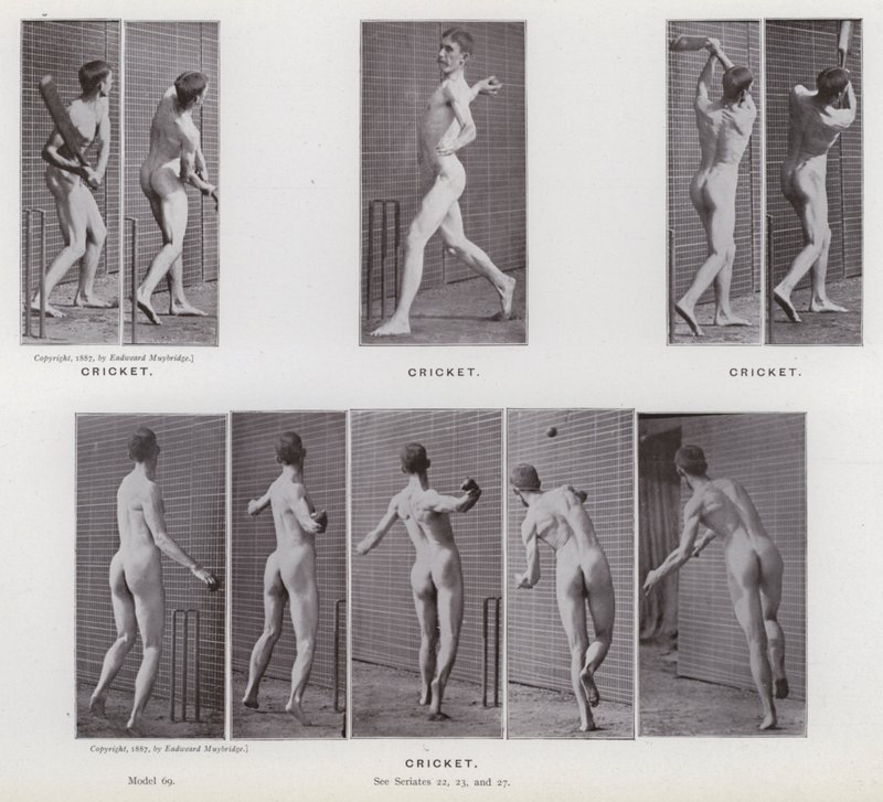 Hareket Halindeki İnsan Figürü: Kriket (s/b fotoğraf) by Eadweard Muybridge