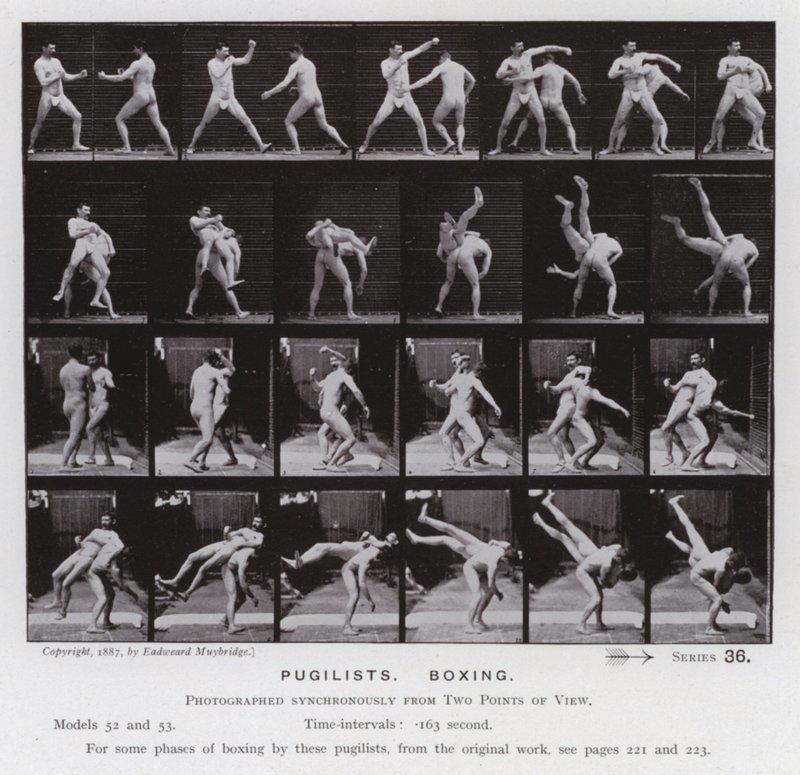 Hareket Halindeki İnsan Figürü: Boksörler, Boks (s/b fotoğraf) by Eadweard Muybridge