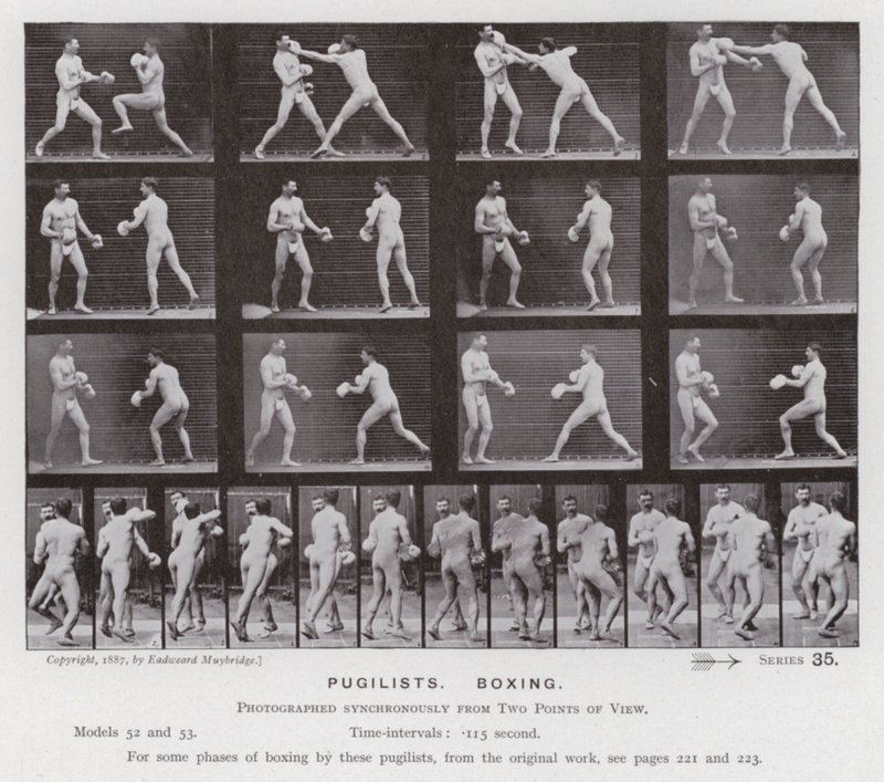 Hareket Halindeki İnsan Figürü: Boksörler, Boks (s/b fotoğraf) by Eadweard Muybridge