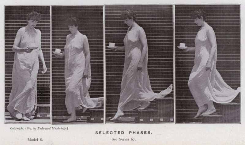 Hareket Halindeki İnsan Figürü: Seçilmiş evreler (s/b fotoğraf) by Eadweard Muybridge