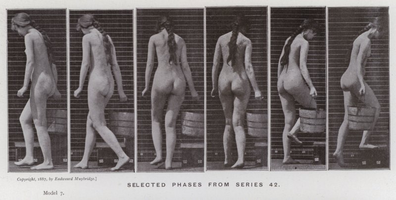 Hareket Halindeki İnsan Figürü: 42. seriden seçilmiş aşamalar (s/b fotoğraf) by Eadweard Muybridge