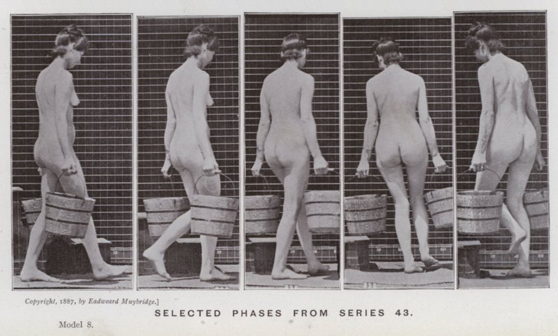 Hareket Halindeki İnsan Figürü: 43. seriden seçilmiş aşamalar (s/b fotoğraf) by Eadweard Muybridge