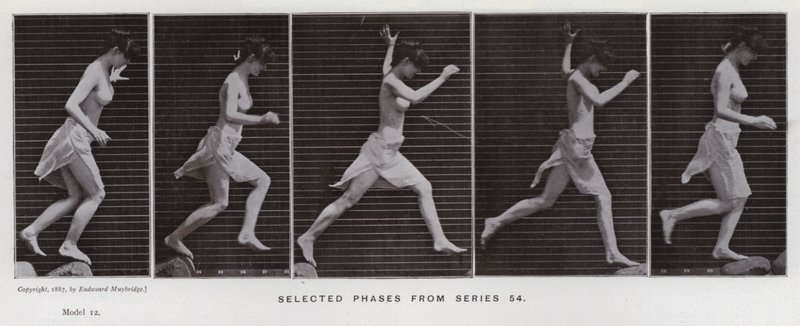 Hareket Halindeki İnsan Figürü: 54. seriden seçilmiş aşamalar (s/b fotoğraf) by Eadweard Muybridge