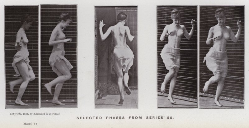 Hareket Halindeki İnsan Figürü: 55. seriden seçilmiş aşamalar (s/b fotoğraf) by Eadweard Muybridge