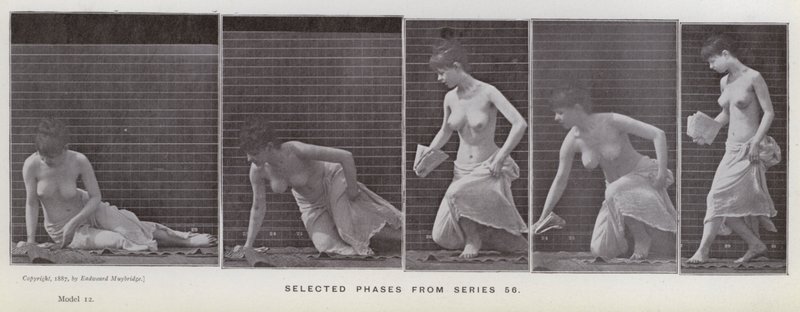 Hareket Halindeki İnsan Figürü: 56. seriden seçilmiş aşamalar (s/b fotoğraf) by Eadweard Muybridge