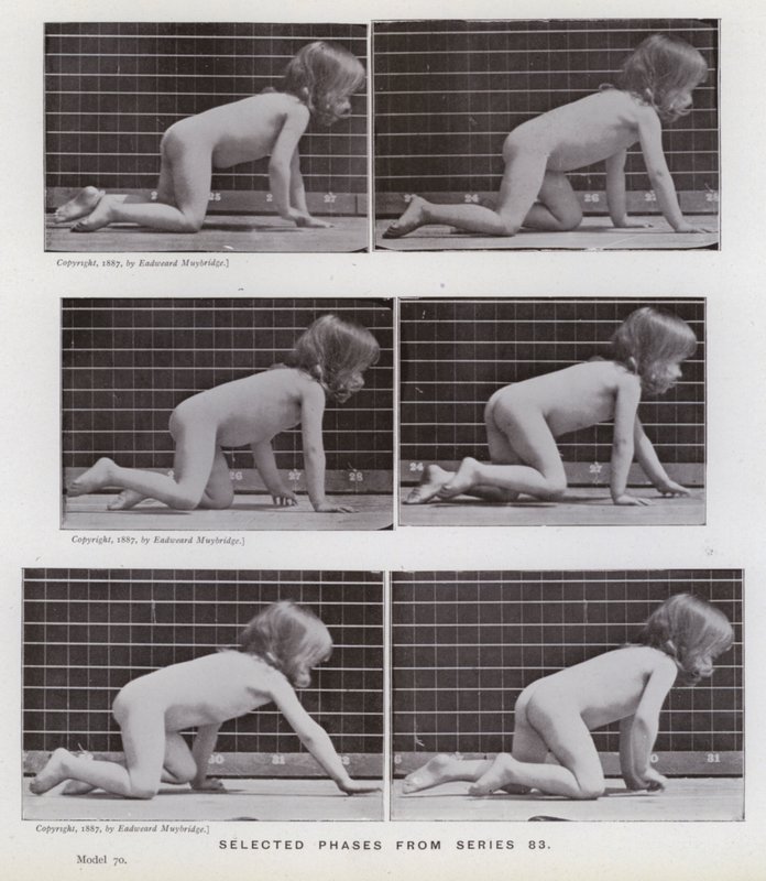 Hareket Halindeki İnsan Figürü: 83. seriden seçilmiş evreler (s/b fotoğraf) by Eadweard Muybridge