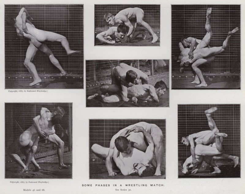 Hareket Halindeki İnsan Figürü: Bir güreş maçındaki bazı aşamalar (s/b fotoğraf) by Eadweard Muybridge
