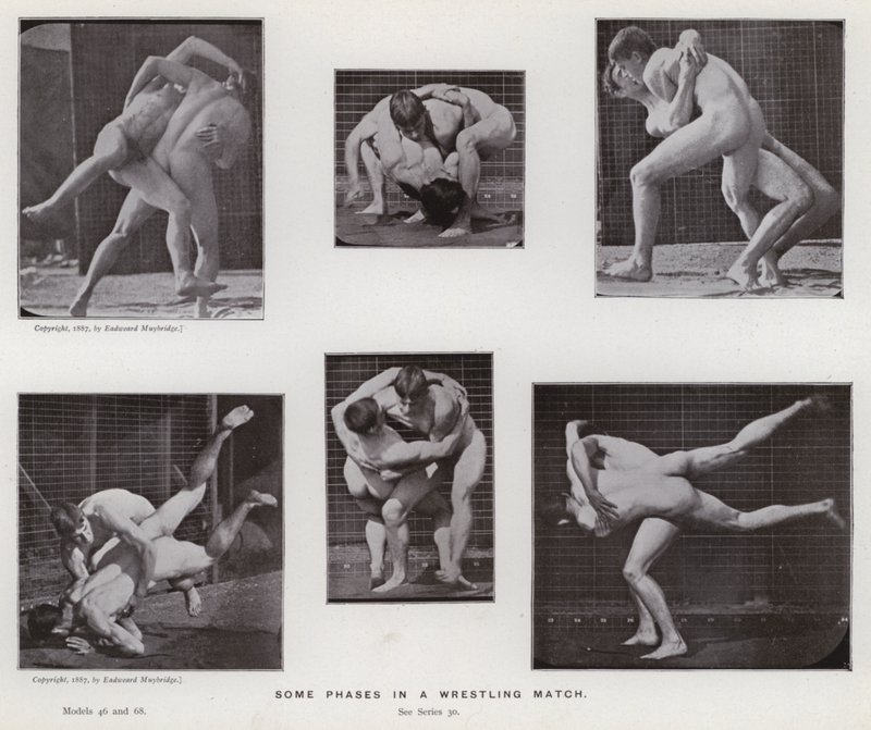 Hareket Halindeki İnsan Figürü: Bir Güreş Maçının Bazı Aşamaları by Eadweard Muybridge